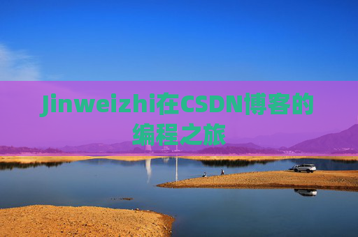 Jinweizhi在CSDN博客的编程之旅